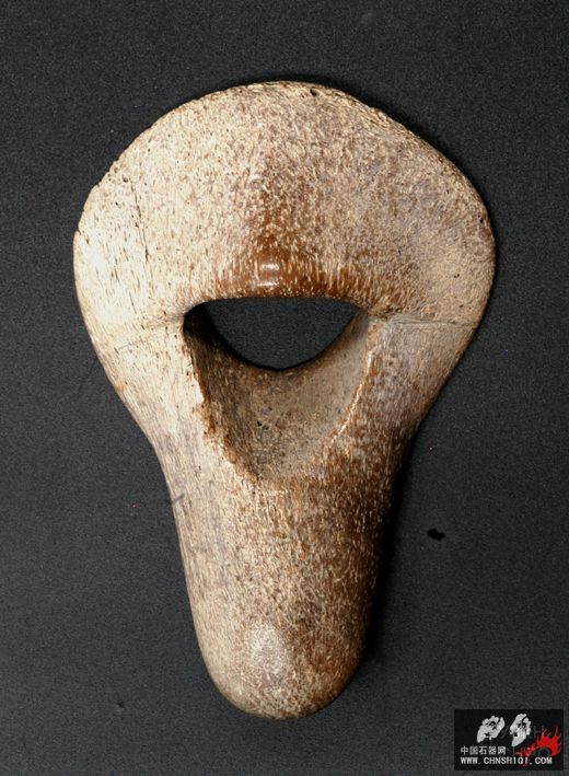 usta-drim-(6).jpg