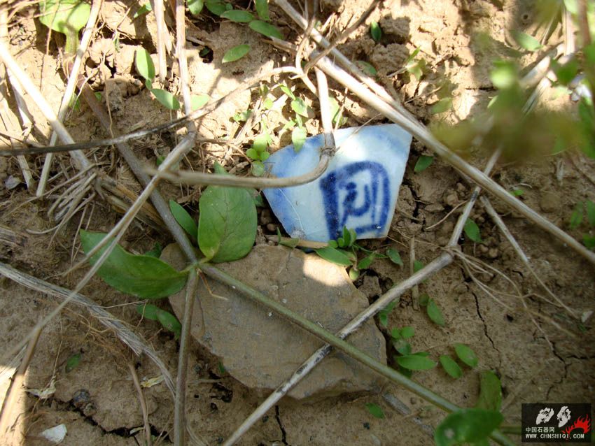 DSC04237.jpg