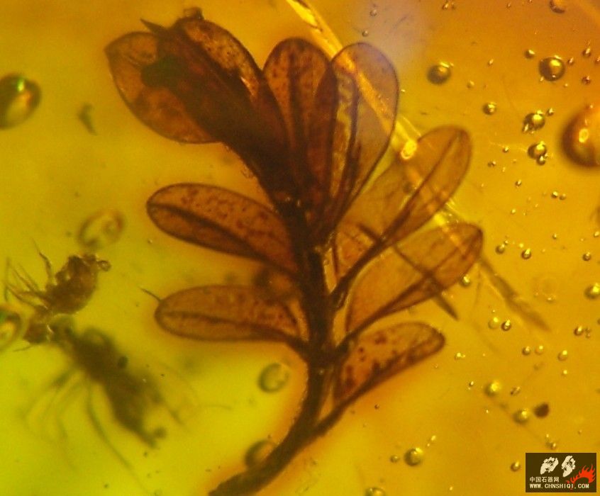 20100505_615670072acf031b9e3drVLPjwFGnrLB.jpg
