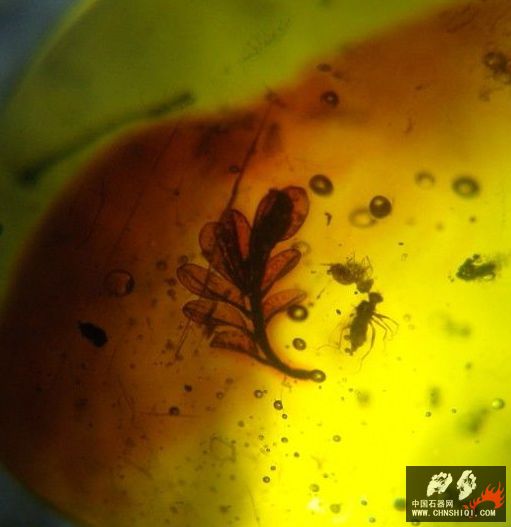 20100505_8c73c15a0f2b7810c03d6Q9E9OgzTiIf.jpg