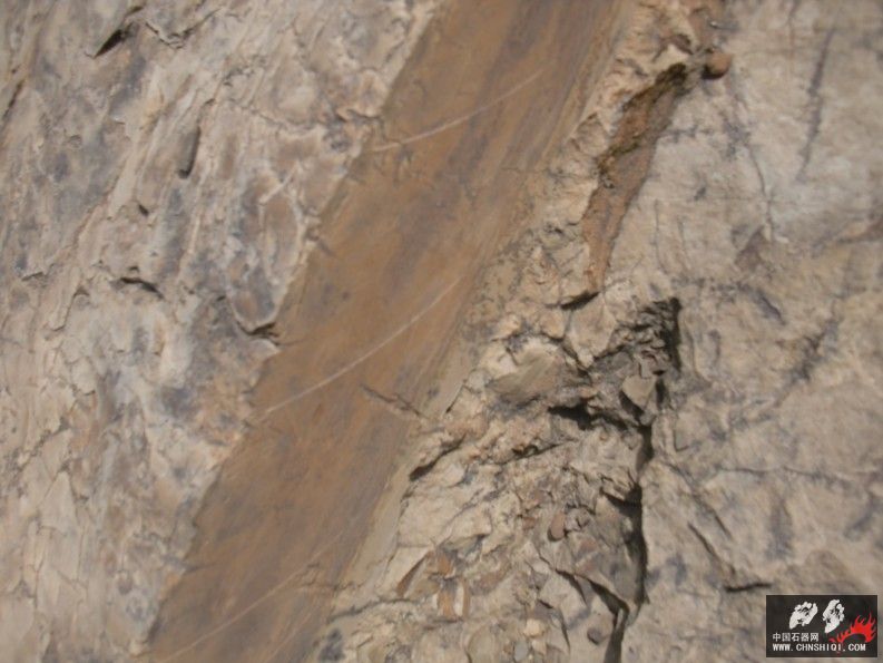 CIMG4794.jpg