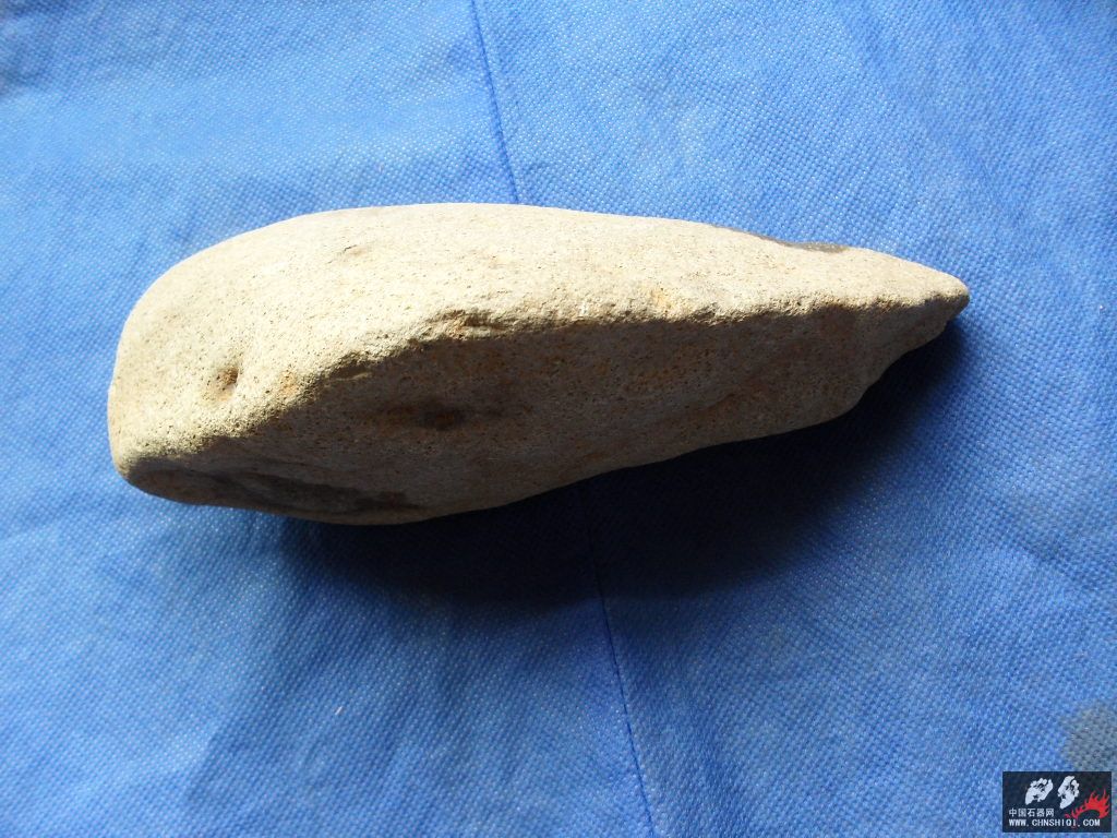 SDC11878.JPG