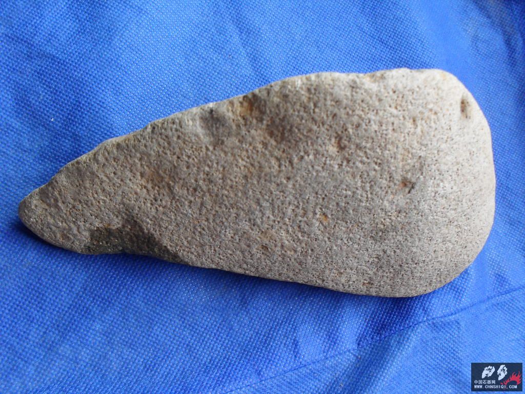 SDC11883.JPG