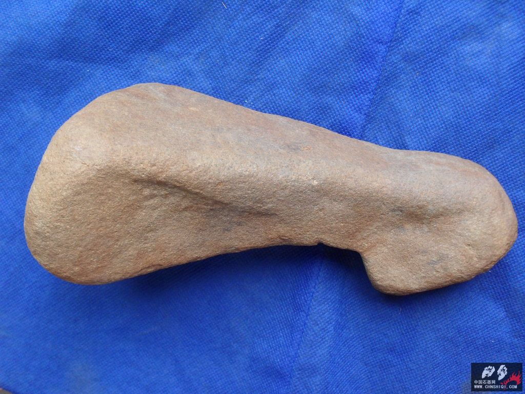 SDC11906.JPG