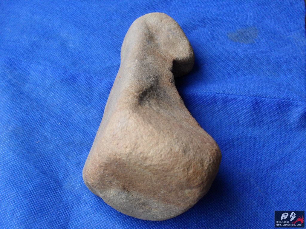 SDC11904.JPG
