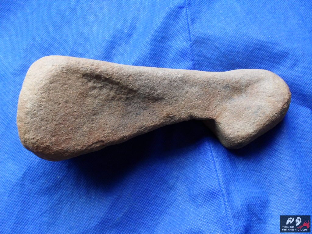 SDC11841.JPG