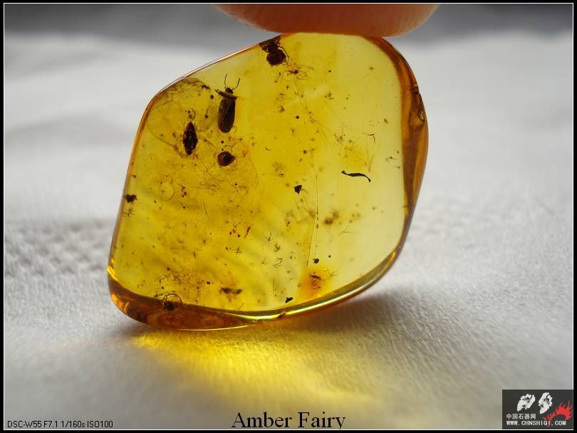 amber 390_nEO_IMG.jpg