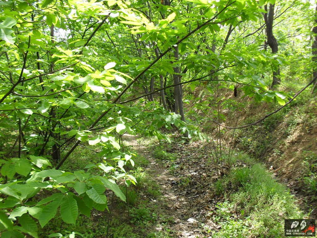 SDC11925.JPG
