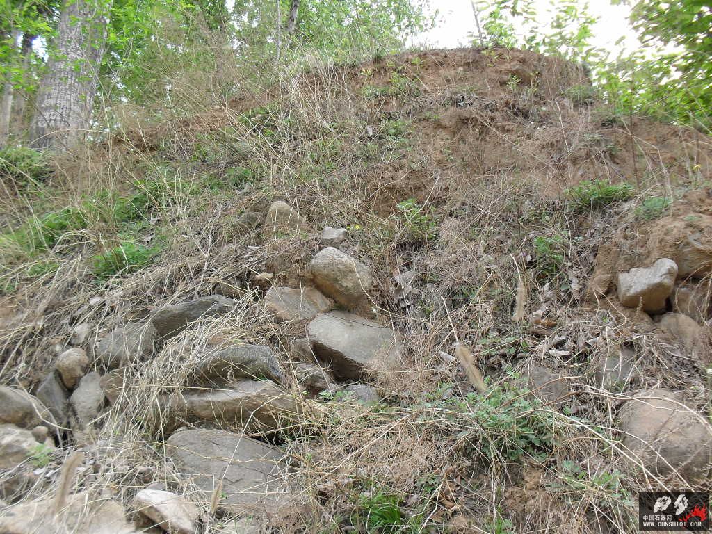 SDC11940.JPG