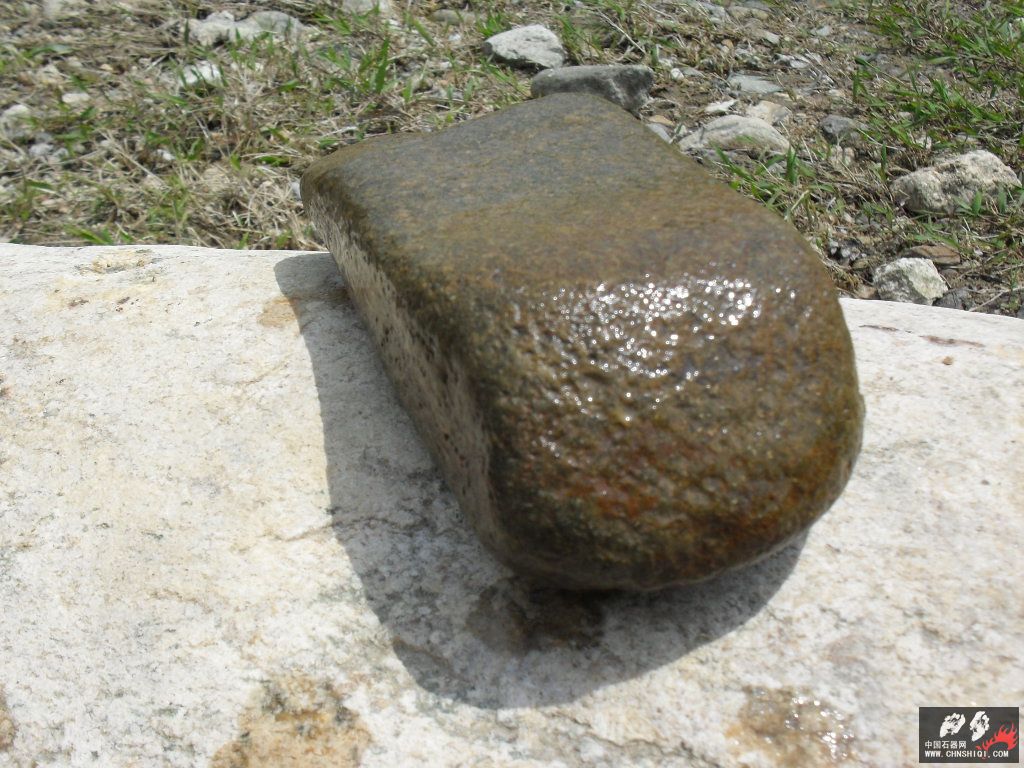 SDC11971.JPG
