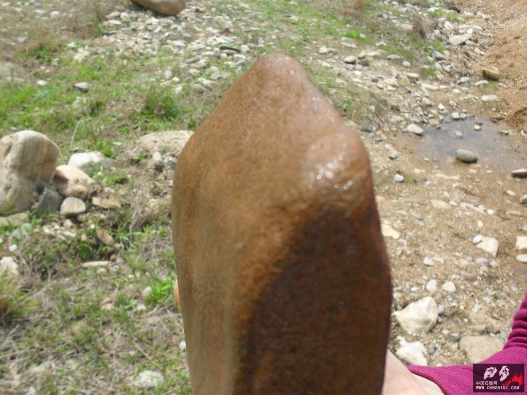 SDC11992.JPG