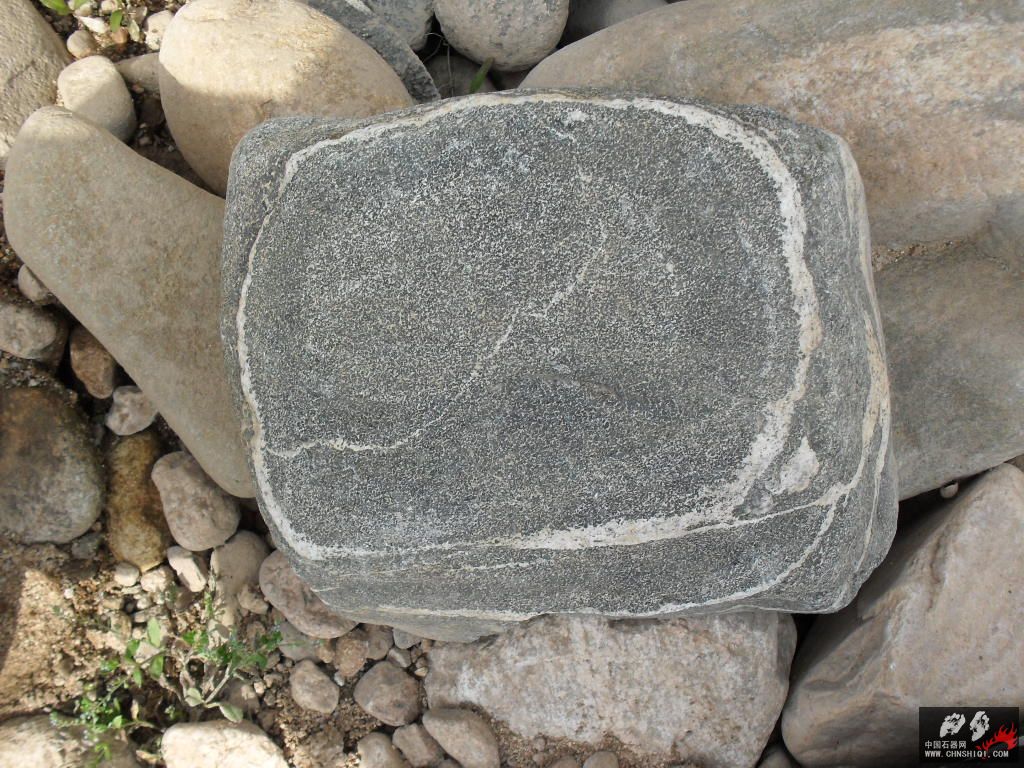 SDC11995.JPG