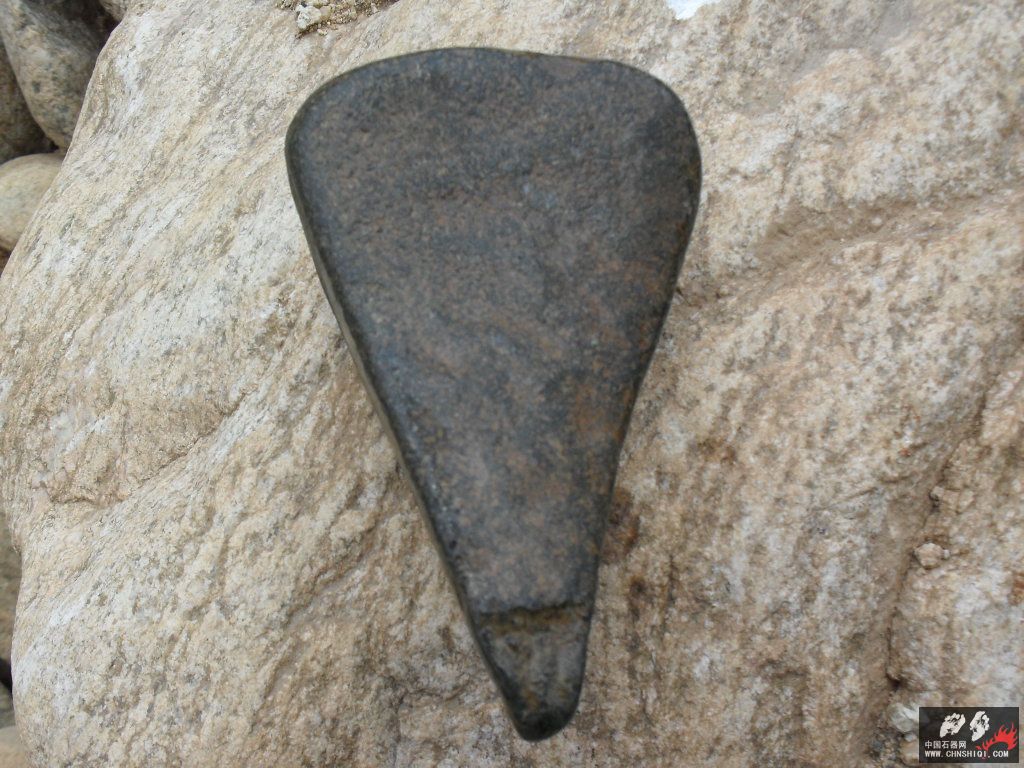 SDC11999.JPG