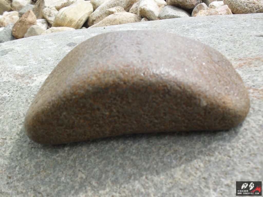 SDC12010.JPG