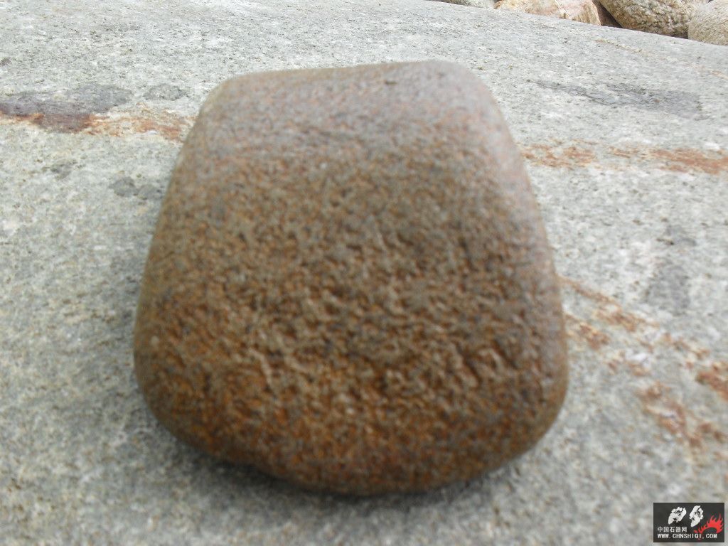 SDC12013.JPG