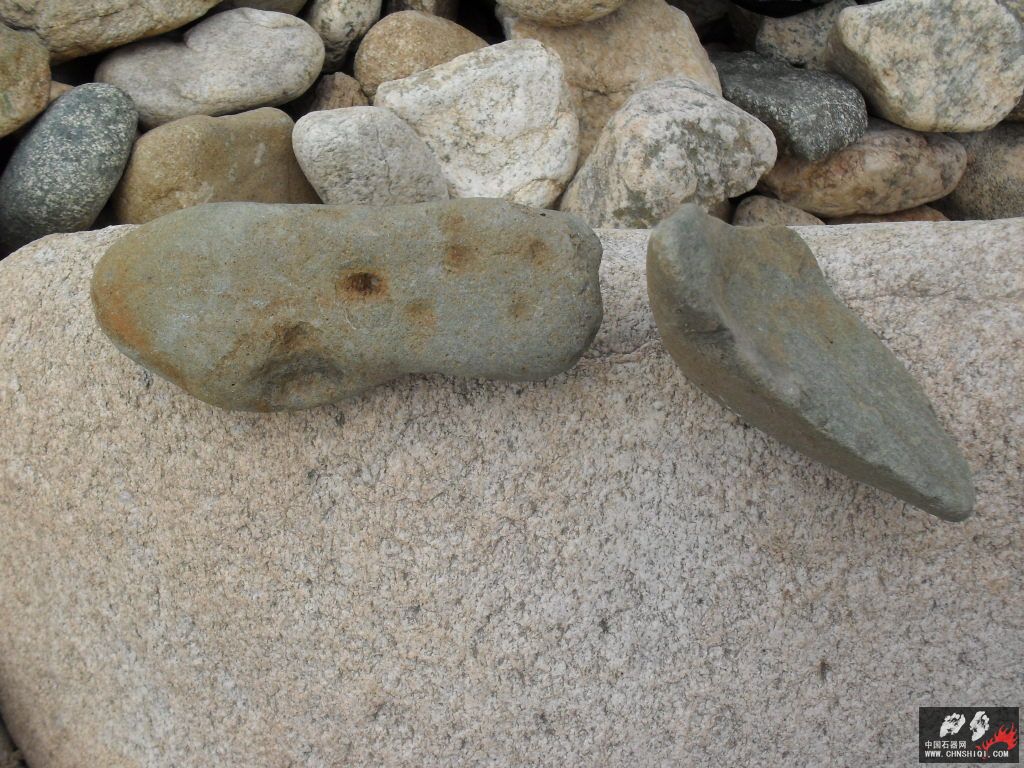 SDC12021.JPG