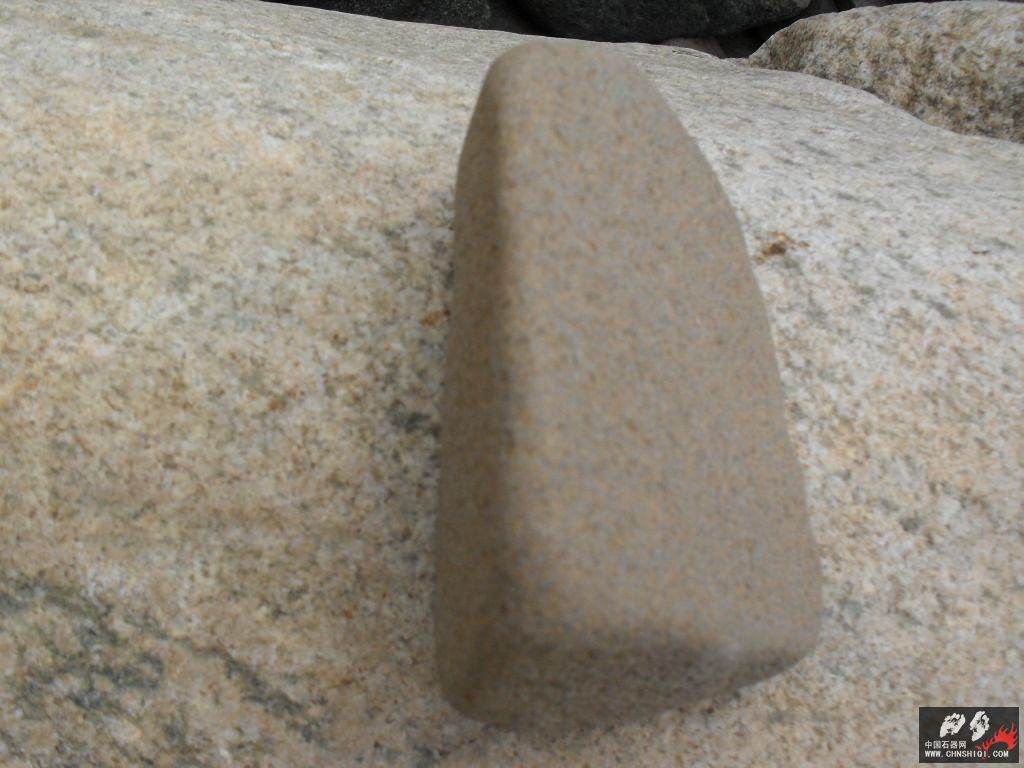 SDC12024.JPG
