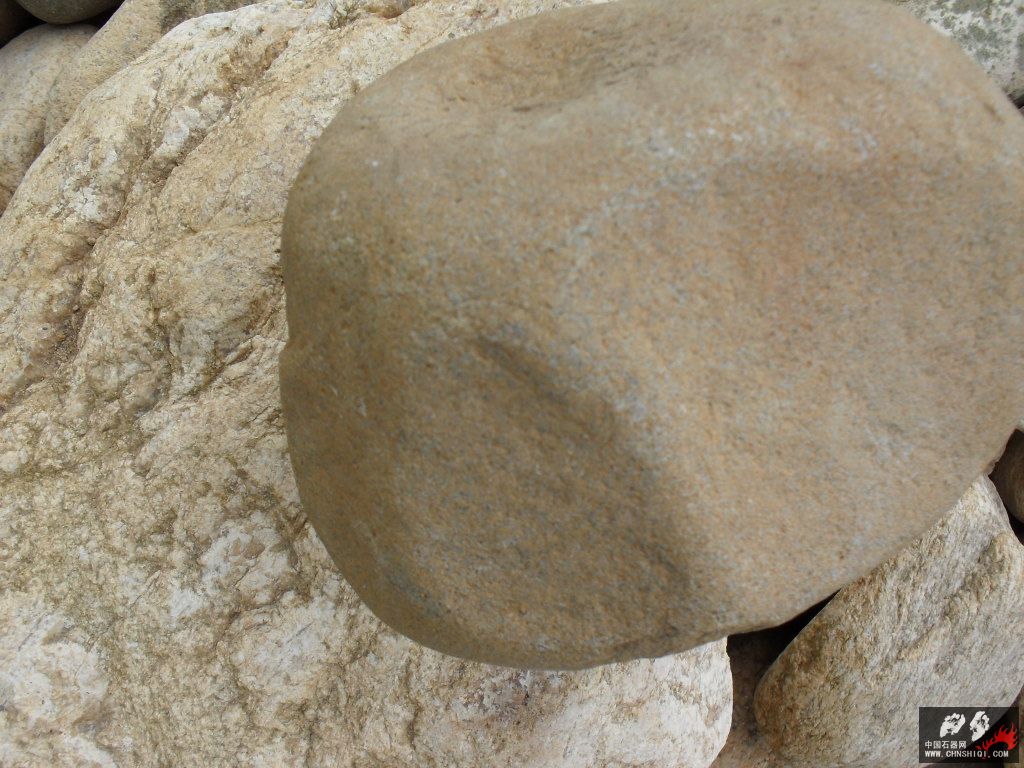 SDC12026.JPG