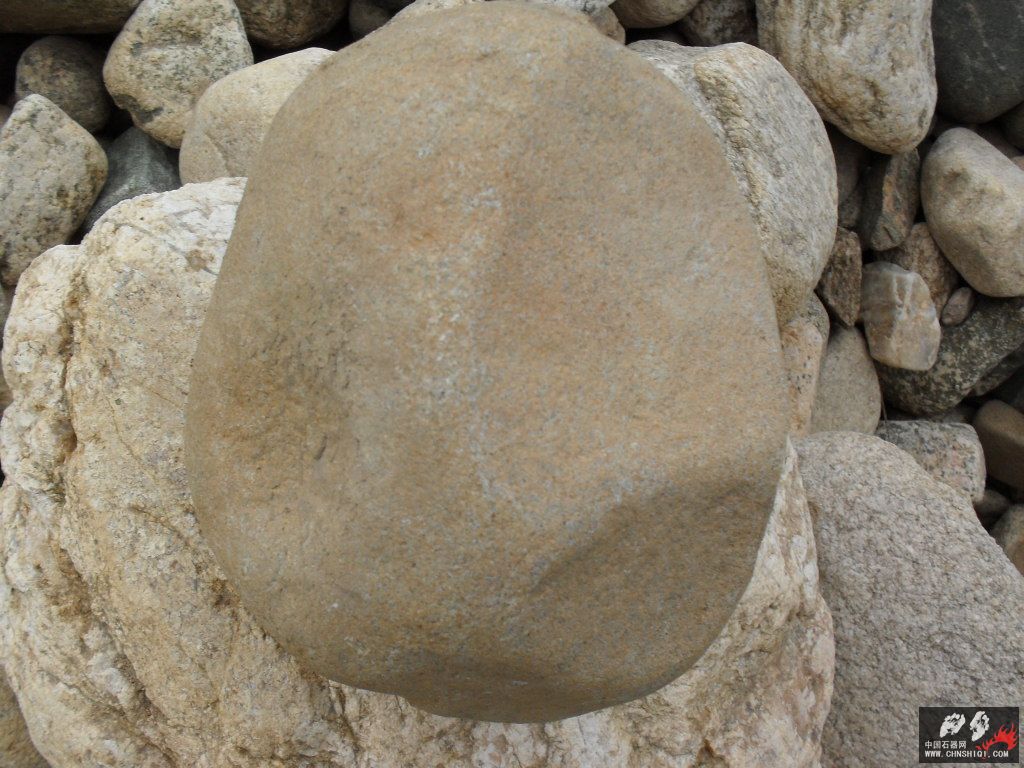 SDC12027.JPG