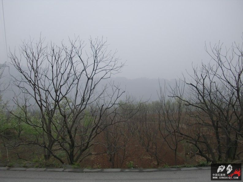 CIMG4907.jpg