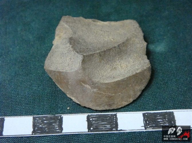 DSC08283.jpg