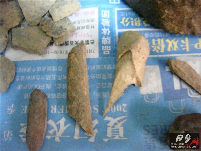 DSC08324.jpg