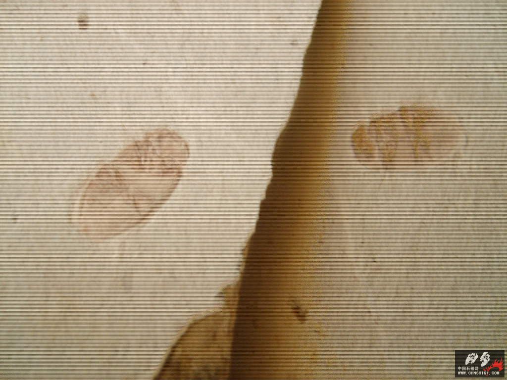 S5000097.JPG