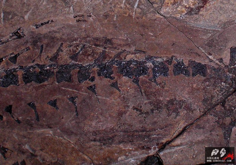 CIMG3581.JPG