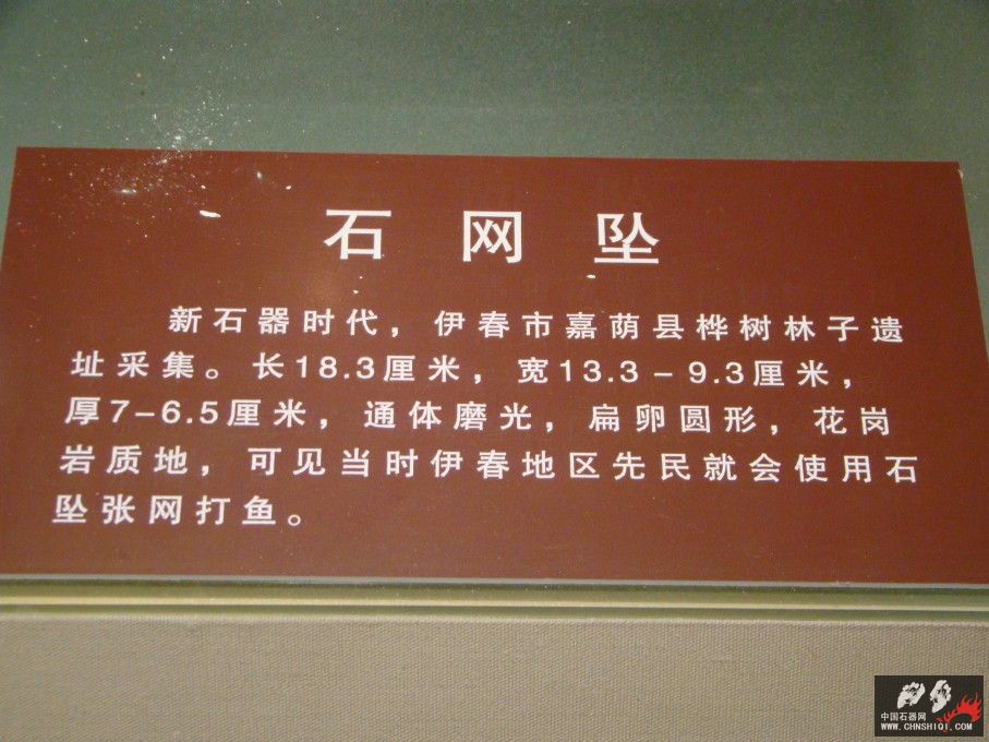 DSC03816.JPG