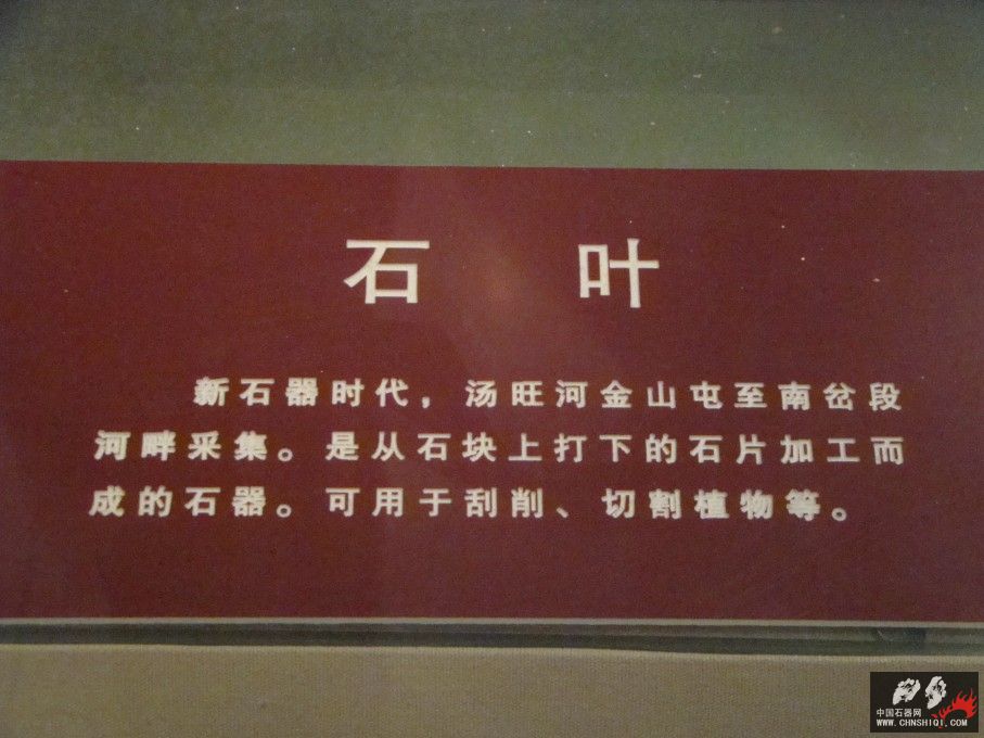 DSC03820.JPG