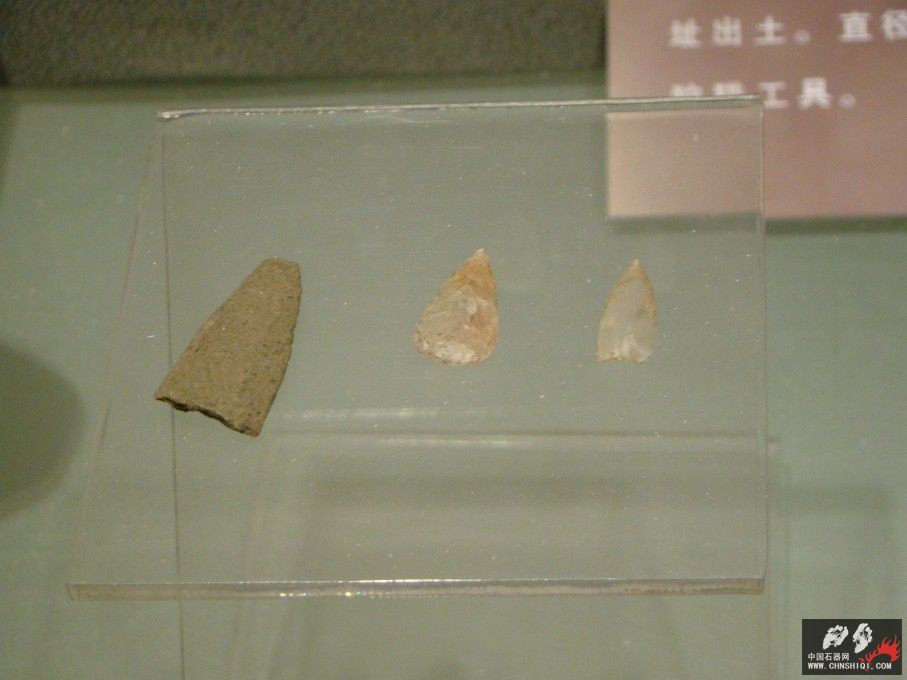 DSC03829.JPG