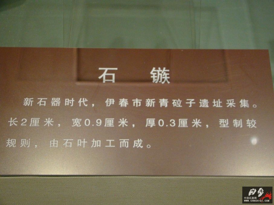 DSC03828.JPG