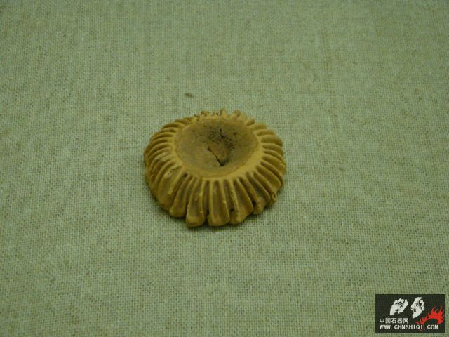DSC04042.JPG
