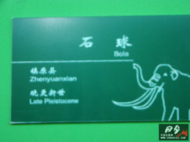 DSC04238.JPG
