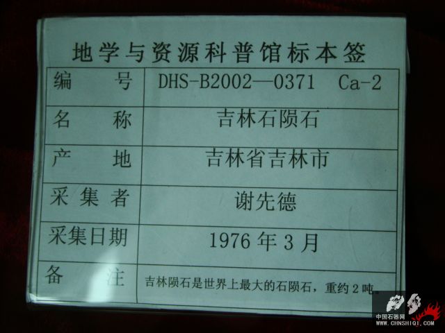 DSC09562.JPG