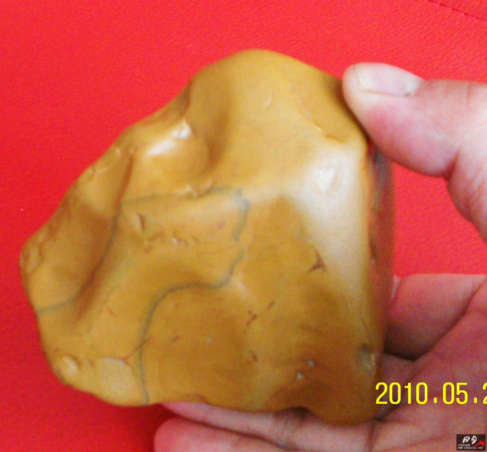 SDC10003 (60).JPG