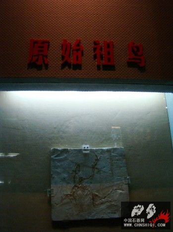 DSC06763.jpg