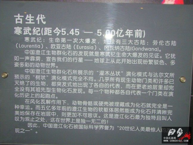 DSC01755.JPG
