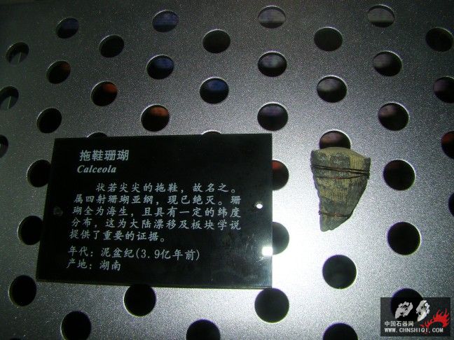 DSC01785.JPG