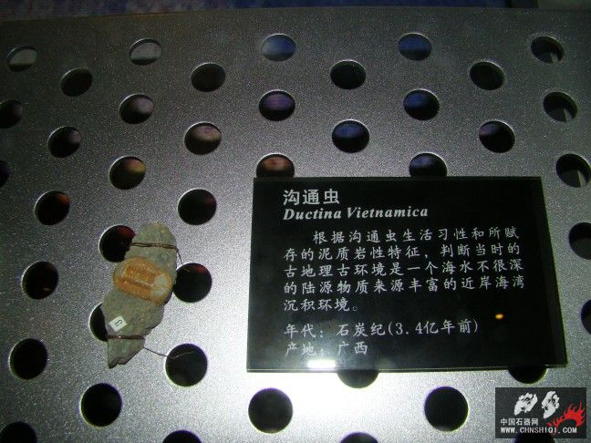 DSC01784.JPG