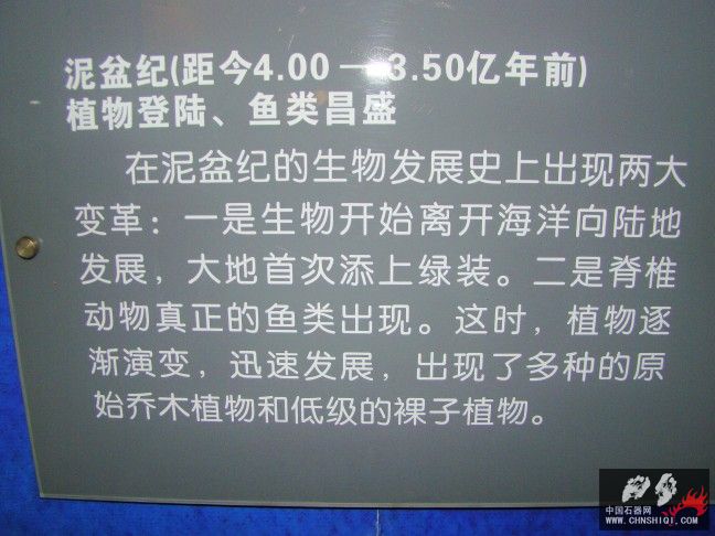 DSC01790.JPG