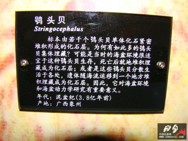 DSC01791.JPG