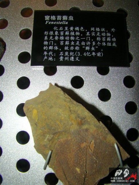 DSC01795.JPG