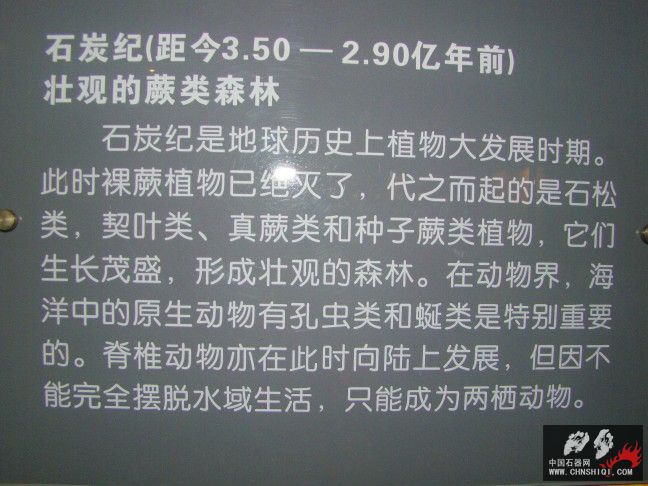 DSC01804.JPG