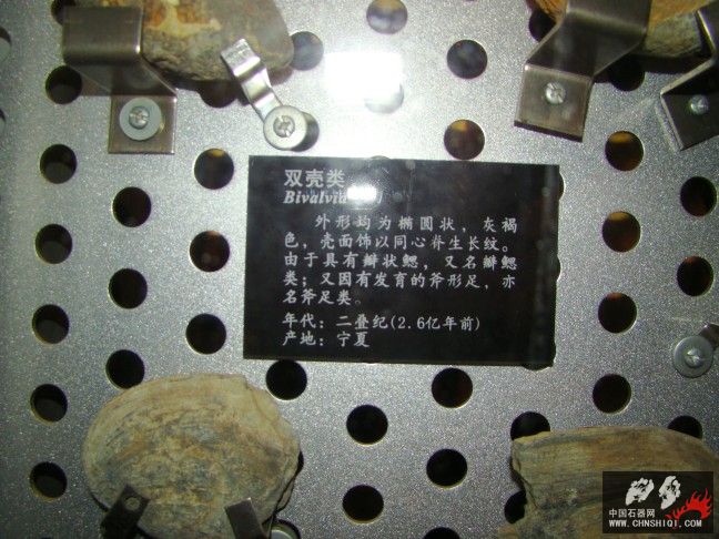 DSC01807.JPG