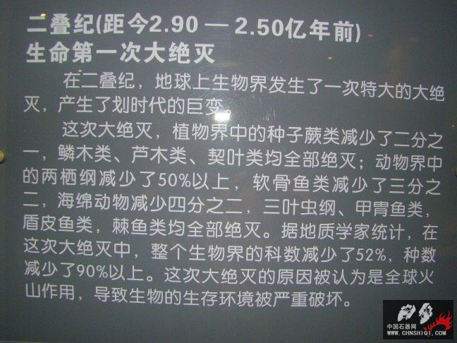 DSC01815.JPG