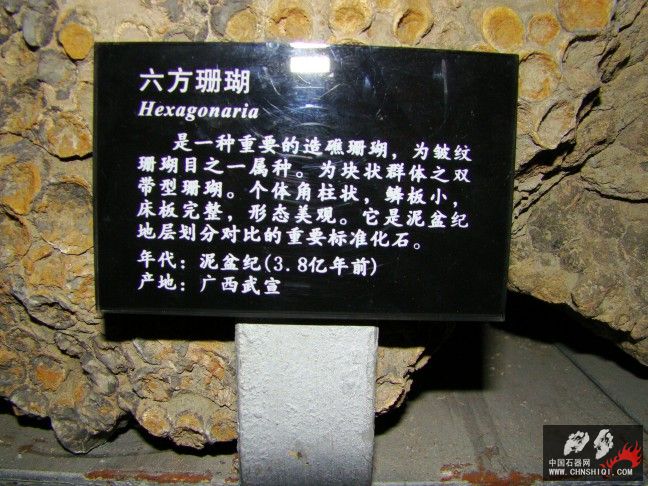 DSC01817.JPG