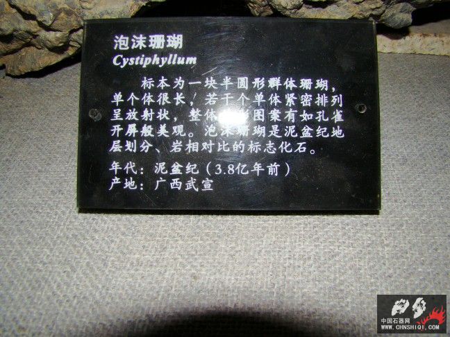 DSC01819.JPG