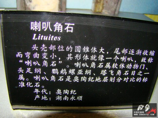 DSC01822.JPG