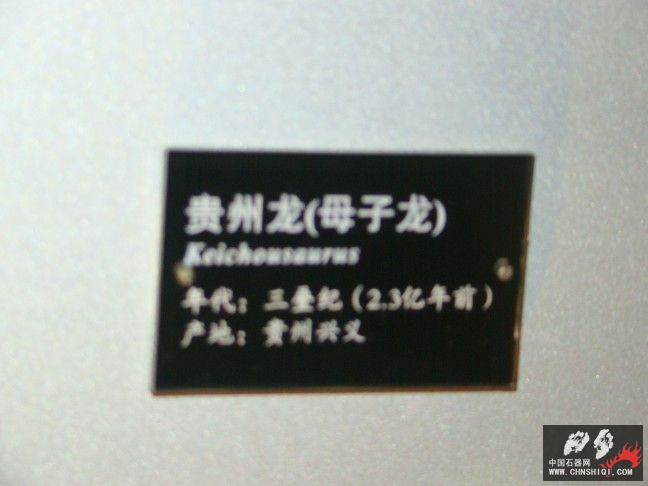 DSC01829.JPG